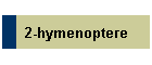 2-hymenoptere