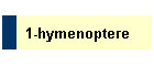 1-hymenoptere